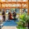 people at a greenhouse in a local venue