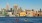 a group of people rowing boats in a body of water with a city in the background